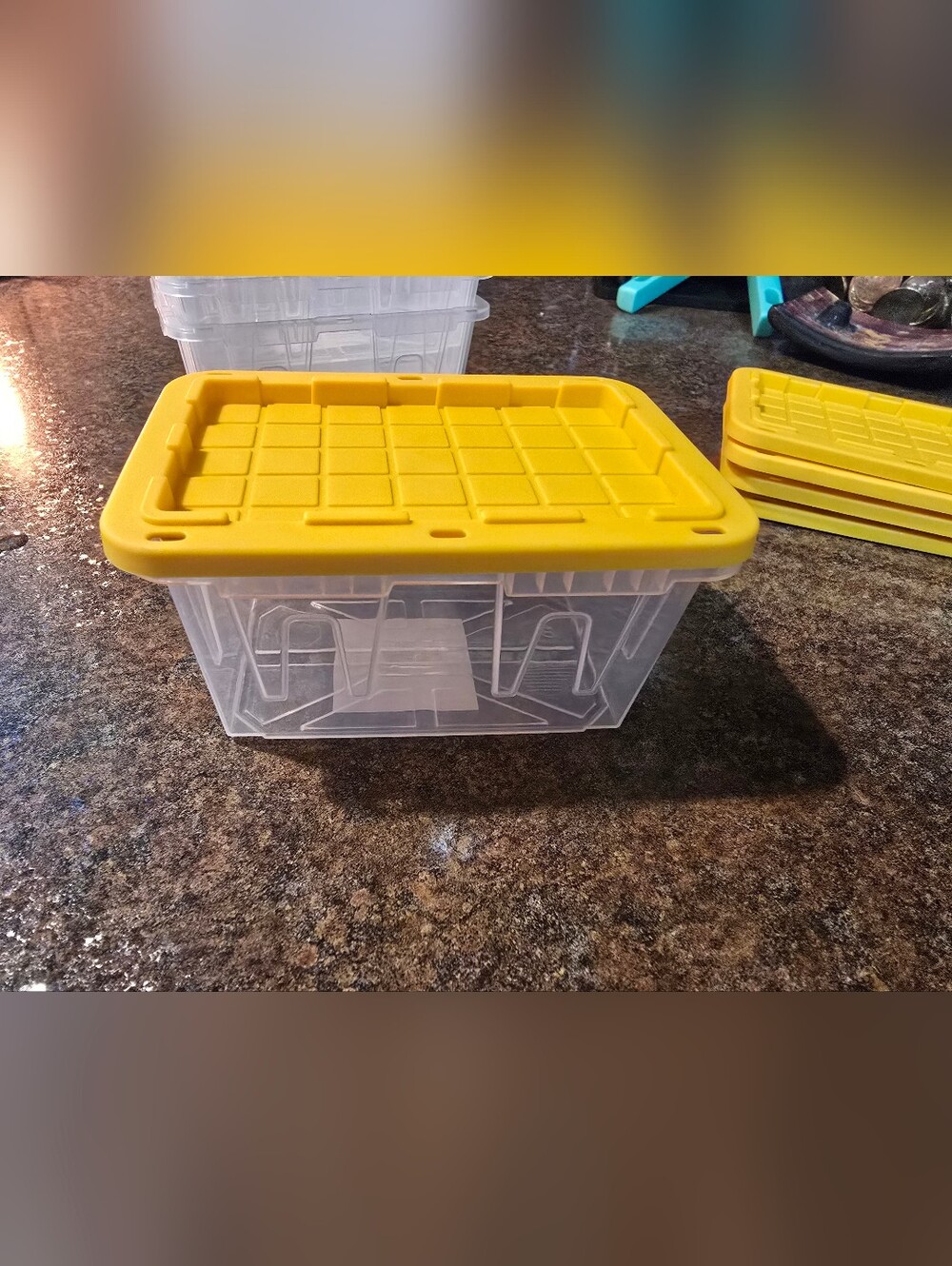 Mini Clear Tote SET OF 5